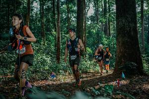 BIB: 
                            <button type="button" onclick="openModal(26133408)" class="btn btn-primary btn-sm float-right btn-popup" data-toggle="modal" data-target=".modal-high-quality">
                        <i class="fas fa-shopping-cart"></i> Add to Cart
                    </button>
                                            <button type="button" onclick="isThisMe(26133408, true)" class="btn btn-success btn-sm float-right btn-popup btn-isme hidden" data-toggle="tooltip" data-placement="bottom" title="นี่คือรูปของคุณใช่ไหม คลิกที่นี่เพื่อเอาเข้าอัลบั้ม">
                        <i class="fas fa-plus"></i> Add to album
                    </button>
                    <button type="button" onclick="isThisMe(26133408, false)" class="btn btn-warning btn-sm float-right btn-popup btn-isnotme hidden">
                        <i class="fas fa-ban"></i> Remove from album
                    </button>